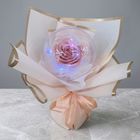 Star Mood Pink (30cm x 20cm x 15cm) 1 Piece - Preserved Flower