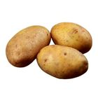美國馬鈴薯 90g #00040294