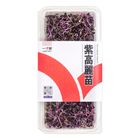 一寸鮮-紫高麗苗 50g/盒