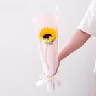Single Sunflower Gentle Pink 1 Piece