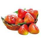 台灣蓮霧 600g #4711100663212#03/032