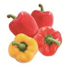 Taiwan Mixed Color Bell Peppers 300g±5%/Bag