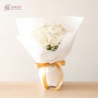 Light Snow Koi x Hoshiuta Bouquet 11 Bunches