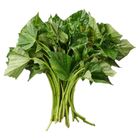 有機地瓜葉 (每袋約 250g) 1 袋 @22#4717546220248