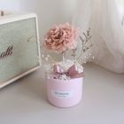 康乃馨永生小盆花(奶茶) 1 入