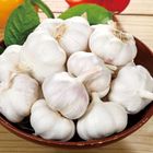 台灣蒜頭 300g #4712780360583 #03/033
