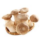 特級杏鮑菇 400g #00060040