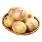 履歷洋蔥 900g/袋 @22#2422010101016