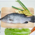 頂鮮-產銷履歷金目鱸魚(三清) 500-600g/包