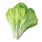 1 Bag Of Chinese Cabbage (About 250g Per Bag) @22#2422000107011