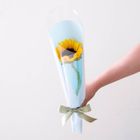Single Sunflower Free Blue 1 Piece