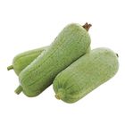 Taiwan Angled Luffa 450g±10%/Piece