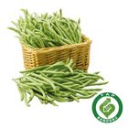 Resume Sensitive Beans (about 200g±10% Per Box) 1 Bag @22#4719853581777