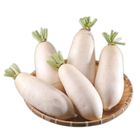 台灣白蘿蔔 600g/條 @22#2019030000001