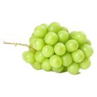 韓國麝香葡萄 #8 約 600g±5%/盒