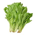 優境有機A菜 1 袋 @22#4711281490768