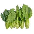 青江菜-常溫 600-700g