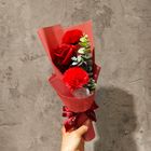 3合1紅色康乃馨香皂花束