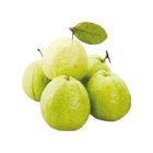履歷芭樂(袋)-PDC 1kg @22#2422172107017