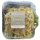 優境有機綠豆芽 160g @22#4711281492045