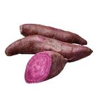 Purple Sweet Potato (PDC) 1 Bag @22#4713302241489