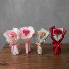單支康乃馨 隨機 15 x 30 x 15cm 1 束