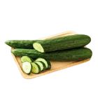 溫室小黃瓜(產銷履歷) 300g