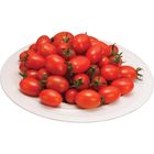 聖女蕃茄(盒) 600g @22#2422176003018
