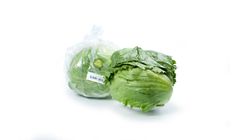 The Silly Greens Iceberg Lettuce 400g