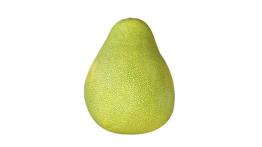 Taiwan Wen Dan Pomelo 600g