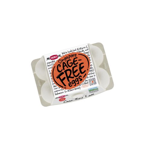 Chew's Cage Free Fresh Eggs 6s x 55g