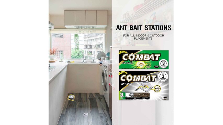 Combat Mini Bait Stations Ant Killer 12pcs x 1g