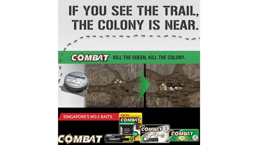 Combat Ant Killer Bait Strips 10pcs