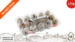 Dasoon Fresh Quail Egg 15S