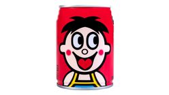 Want Want Flavoured Milk 245ml