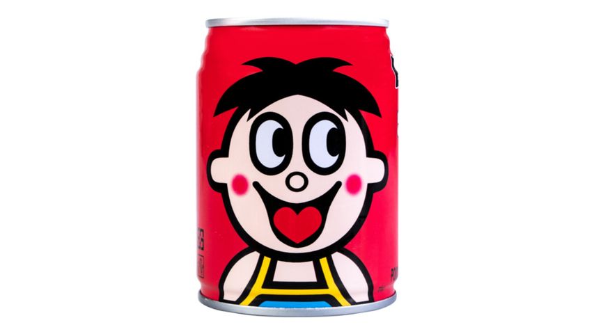 Want Want Flavoured Milk 245ml