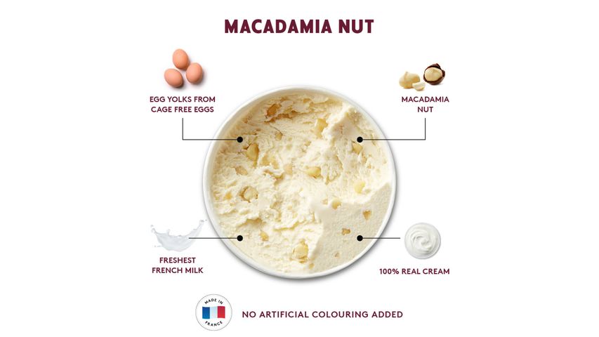 Haagen-Dazs Macadamia Nut Ice Cream Ice Cream Pint 473ml