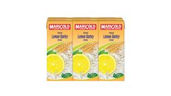 Marigold Less Sweet Lemon Barley Drink 6s x 250ml