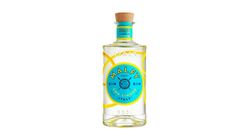 Malfy Gin Con Limone 700ml