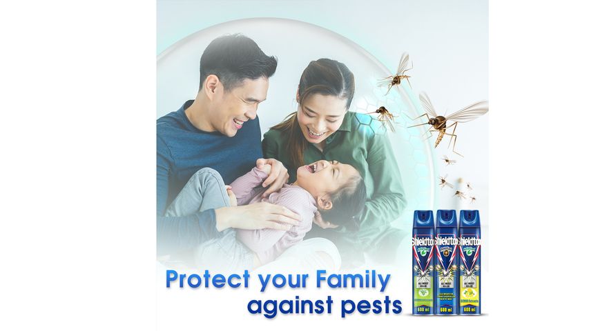 Shieldtox Citronella All Insect Killer Naturgard Spray 600ml
