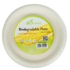 Biogreen Biodegradable 10" Plate 20s