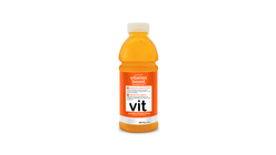Vitamin Boost Orange Energyboost 600ml