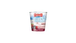 Pascual Creamy Delight Greek Mixed Berry 100ml