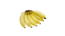 Sunnyphil Banana Latundan (127831)
