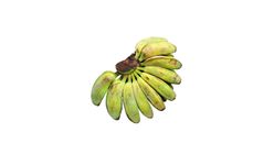 Mz RTE Banana Saba