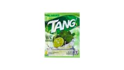 Tang Powdered Juice Calamansi Flavor 19g