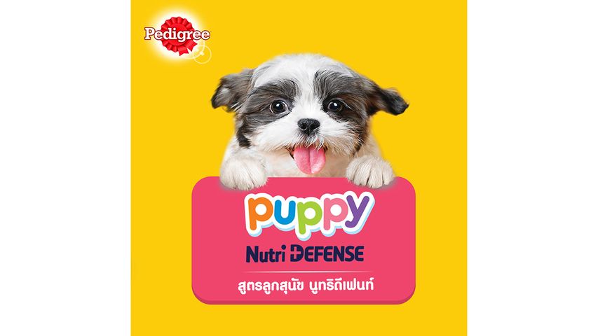 Pedigree Pouch Puppy Beef Egg Loaf with Vegetable 80g