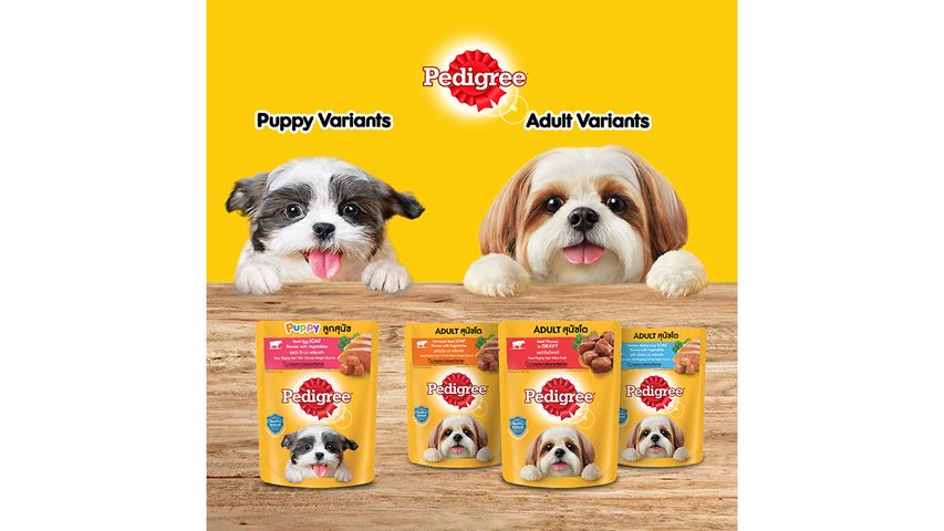 Pedigree Pouch Puppy Beef Egg Loaf with Vegetable 80g