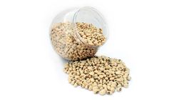 White Kidney Beans (Safed Lobia) 1kg