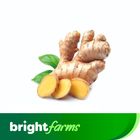 brightfarms Ginger 250g